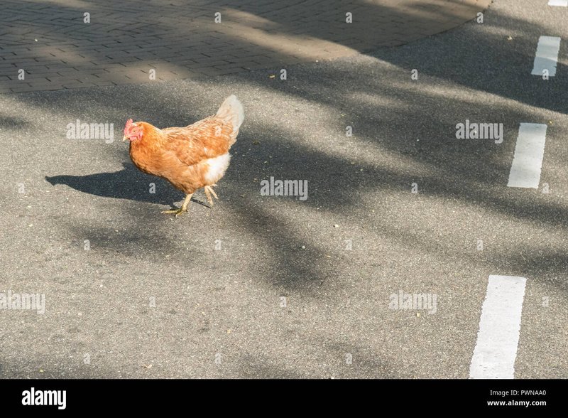 Conoce el Mito de la Carretera de la Gallina en España in Spain